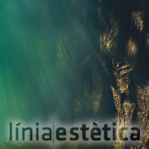 tratamiento-con-algas-linia-estetica-lleida
