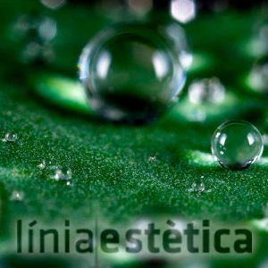 tratamiento-con-perlas-linia-estetica-lleida